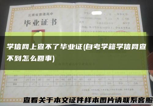 学信网上查不了毕业证(自考学籍学信网查不到怎么回事)缩略图