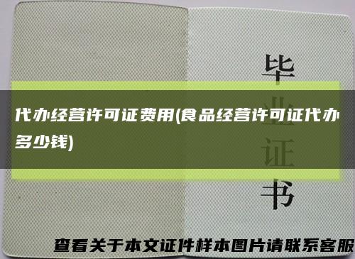 代办经营许可证费用(食品经营许可证代办多少钱)缩略图