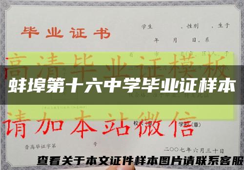 蚌埠第十六中学毕业证样本缩略图