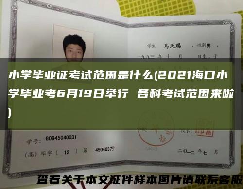 小学毕业证考试范围是什么(2021海口小学毕业考6月19日举行 各科考试范围来啦)缩略图