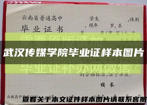 武汉传媒学院毕业证样本图片缩略图