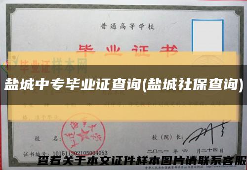 盐城中专毕业证查询(盐城社保查询)缩略图