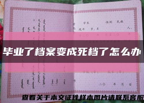 毕业了档案变成死档了怎么办缩略图