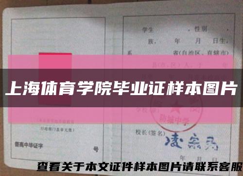 上海体育学院毕业证样本图片缩略图