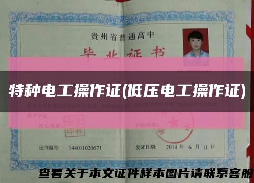 特种电工操作证(低压电工操作证)缩略图