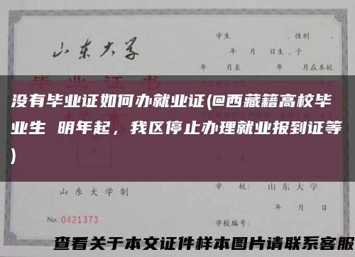 没有毕业证如何办就业证(@西藏籍高校毕业生 明年起，我区停止办理就业报到证等)缩略图