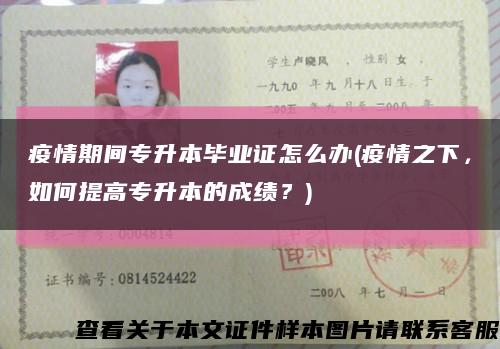 疫情期间专升本毕业证怎么办(疫情之下，如何提高专升本的成绩？)缩略图