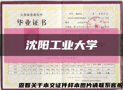 沈阳工业大学缩略图