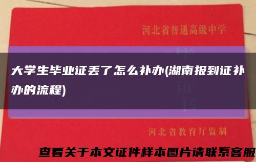 大学生毕业证丢了怎么补办(湖南报到证补办的流程)缩略图