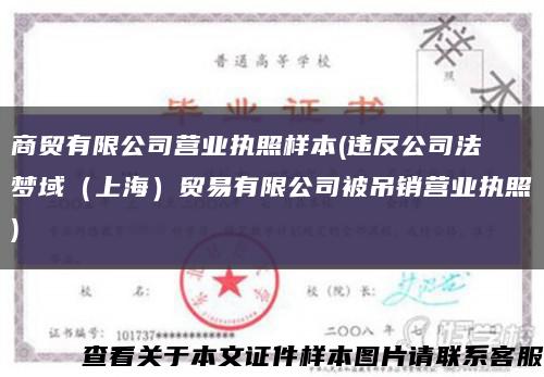 商贸有限公司营业执照样本(违反公司法 梦域（上海）贸易有限公司被吊销营业执照)缩略图