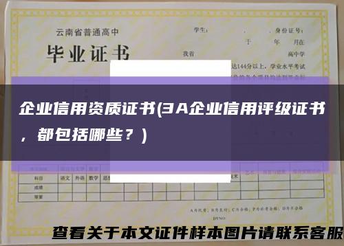 企业信用资质证书(3A企业信用评级证书，都包括哪些？)缩略图