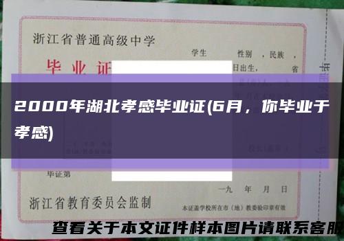 2000年湖北孝感毕业证(6月，你毕业于孝感)缩略图