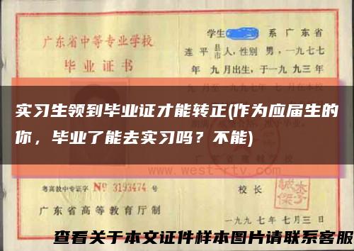 实习生领到毕业证才能转正(作为应届生的你，毕业了能去实习吗？不能)缩略图