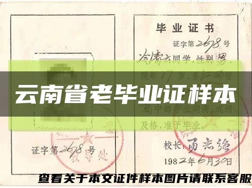 云南省老毕业证样本缩略图