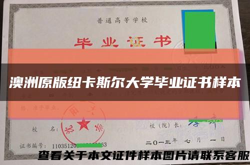 澳洲原版纽卡斯尔大学毕业证书样本缩略图