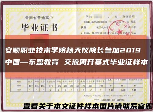安顺职业技术学院杨天仪院长参加2019中国—东盟教育 交流周开幕式毕业证样本缩略图