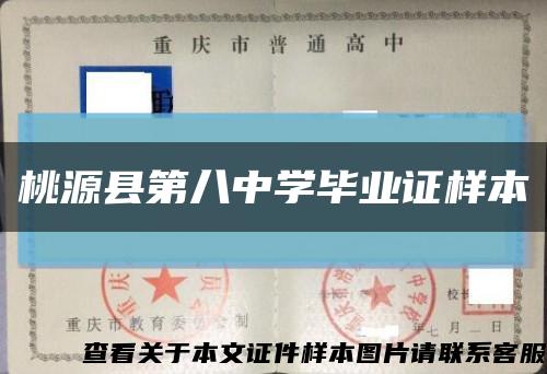 桃源县第八中学毕业证样本缩略图