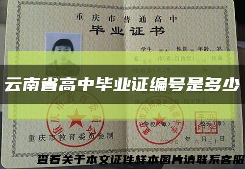 云南省高中毕业证编号是多少缩略图