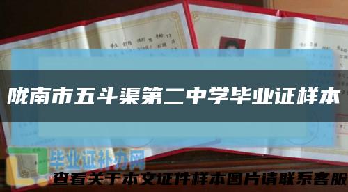陇南市五斗渠第二中学毕业证样本缩略图