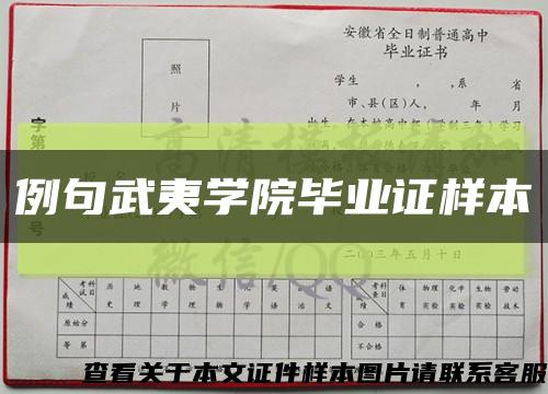 例句武夷学院毕业证样本缩略图