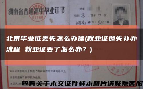 北京毕业证丢失怎么办理(就业证遗失补办流程 就业证丢了怎么办？)缩略图