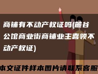 商铺有不动产权证吗(麓谷公馆商业街商铺业主喜领不动产权证)缩略图