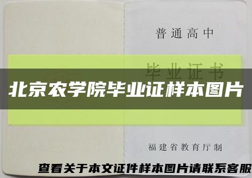 北京农学院毕业证样本图片缩略图