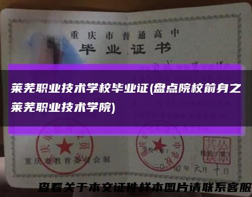 莱芜职业技术学校毕业证(盘点院校前身之莱芜职业技术学院)缩略图