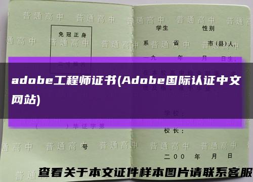 adobe工程师证书(Adobe国际认证中文网站)缩略图