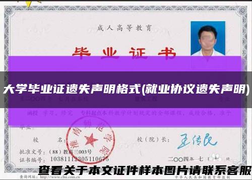 大学毕业证遗失声明格式(就业协议遗失声明)缩略图