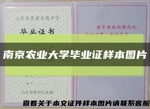 南京农业大学毕业证样本图片缩略图