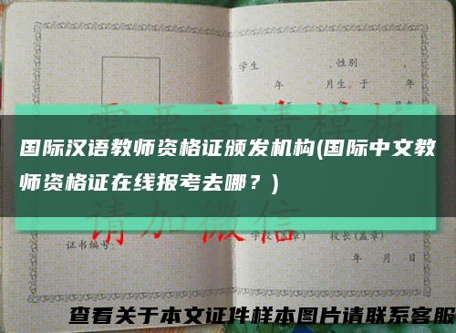 国际汉语教师资格证颁发机构(国际中文教师资格证在线报考去哪？)缩略图