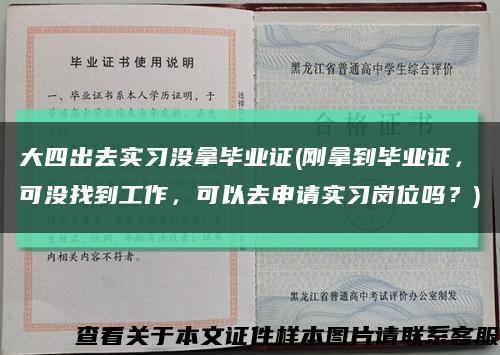 大四出去实习没拿毕业证(刚拿到毕业证，可没找到工作，可以去申请实习岗位吗？)缩略图