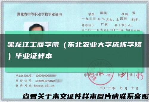 黑龙江工商学院（东北农业大学成栋学院）毕业证样本缩略图