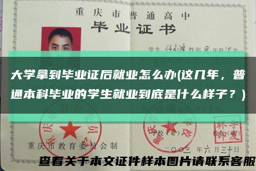 大学拿到毕业证后就业怎么办(这几年，普通本科毕业的学生就业到底是什么样子？)缩略图