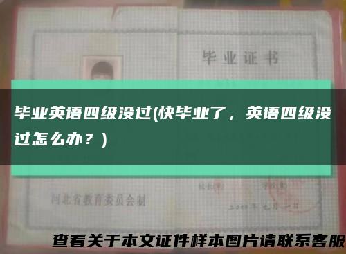 毕业英语四级没过(快毕业了，英语四级没过怎么办？)缩略图