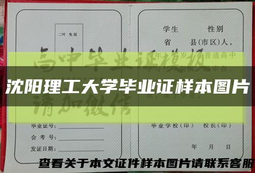沈阳理工大学毕业证样本图片缩略图