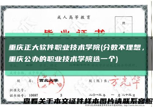 重庆正大软件职业技术学院(分数不理想，重庆公办的职业技术学院选一个)缩略图
