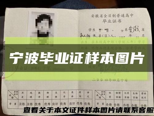宁波毕业证样本图片缩略图
