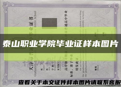 泰山职业学院毕业证样本图片缩略图