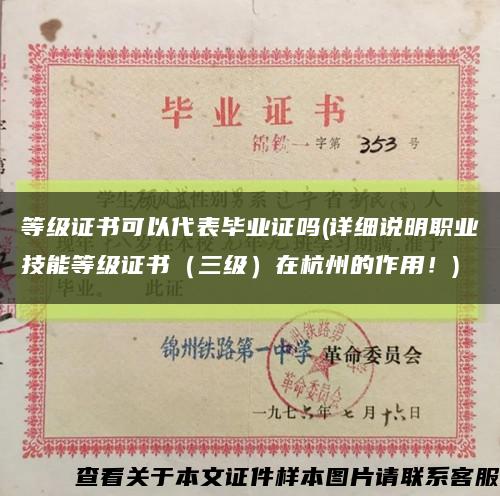 等级证书可以代表毕业证吗(详细说明职业技能等级证书（三级）在杭州的作用！)缩略图