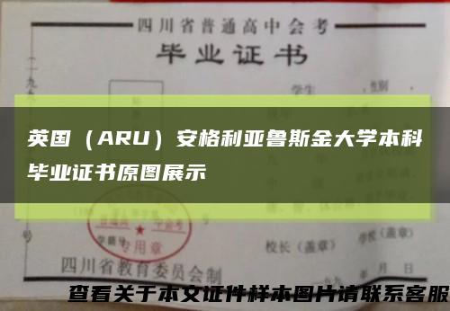 英国（ARU）安格利亚鲁斯金大学本科毕业证书原图展示缩略图