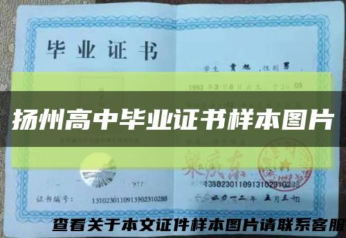 扬州高中毕业证书样本图片缩略图