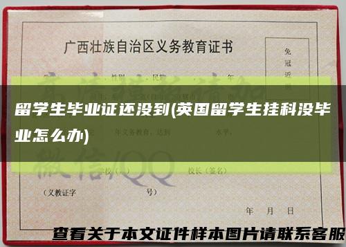 留学生毕业证还没到(英国留学生挂科没毕业怎么办)缩略图