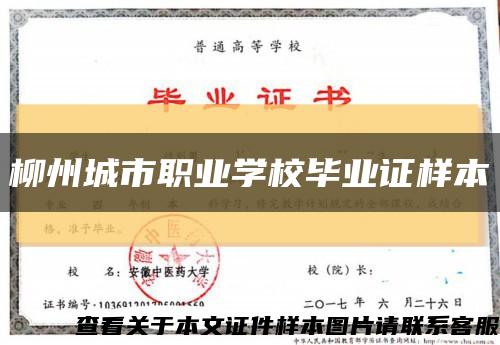 柳州城市职业学校毕业证样本缩略图