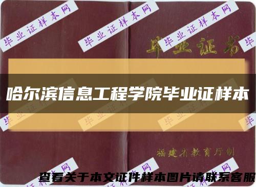 哈尔滨信息工程学院毕业证样本缩略图