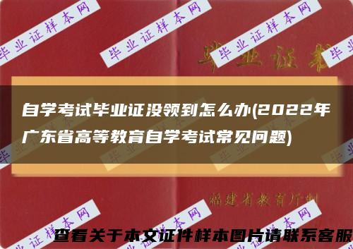 自学考试毕业证没领到怎么办(2022年广东省高等教育自学考试常见问题)缩略图