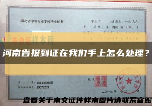 河南省报到证在我们手上怎么处理？缩略图