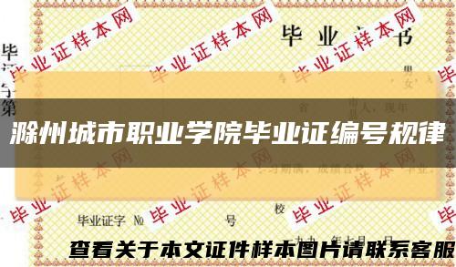 滁州城市职业学院毕业证编号规律缩略图