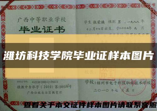 潍坊科技学院毕业证样本图片缩略图